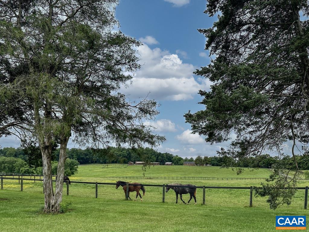 3111 S SEMINOLE TRL, MADISON, Virginia 22727, 5 Bedrooms Bedrooms, ,3 BathroomsBathrooms,Farm,For Sale,3111 S SEMINOLE TRL,665841 MLS # 665841 3111 S SEMINOLE TRL, MADISON, Virginia 22727, 5 Bedrooms Bedrooms, ,3 BathroomsBathrooms,Farm,For Sale,3111 S SEMINOLE TRL,665841 MLS # 665841