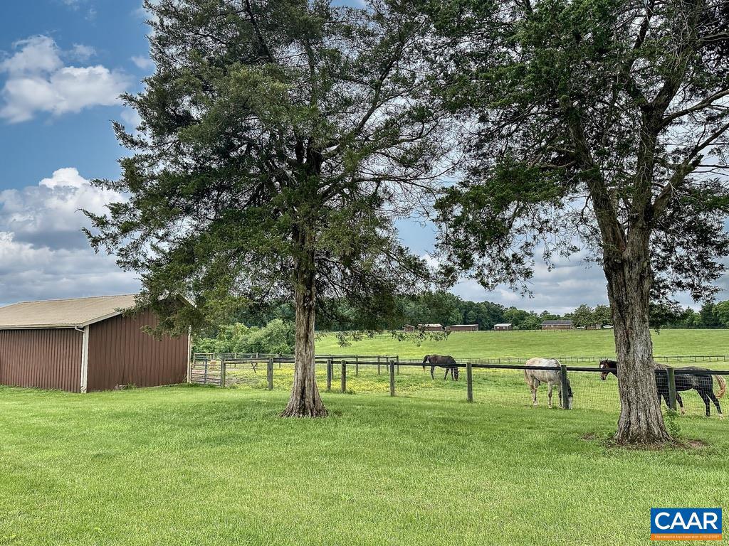 3111 S SEMINOLE TRL, MADISON, Virginia 22727, 5 Bedrooms Bedrooms, ,3 BathroomsBathrooms,Farm,For Sale,3111 S SEMINOLE TRL,665841 MLS # 665841 3111 S SEMINOLE TRL, MADISON, Virginia 22727, 5 Bedrooms Bedrooms, ,3 BathroomsBathrooms,Farm,For Sale,3111 S SEMINOLE TRL,665841 MLS # 665841