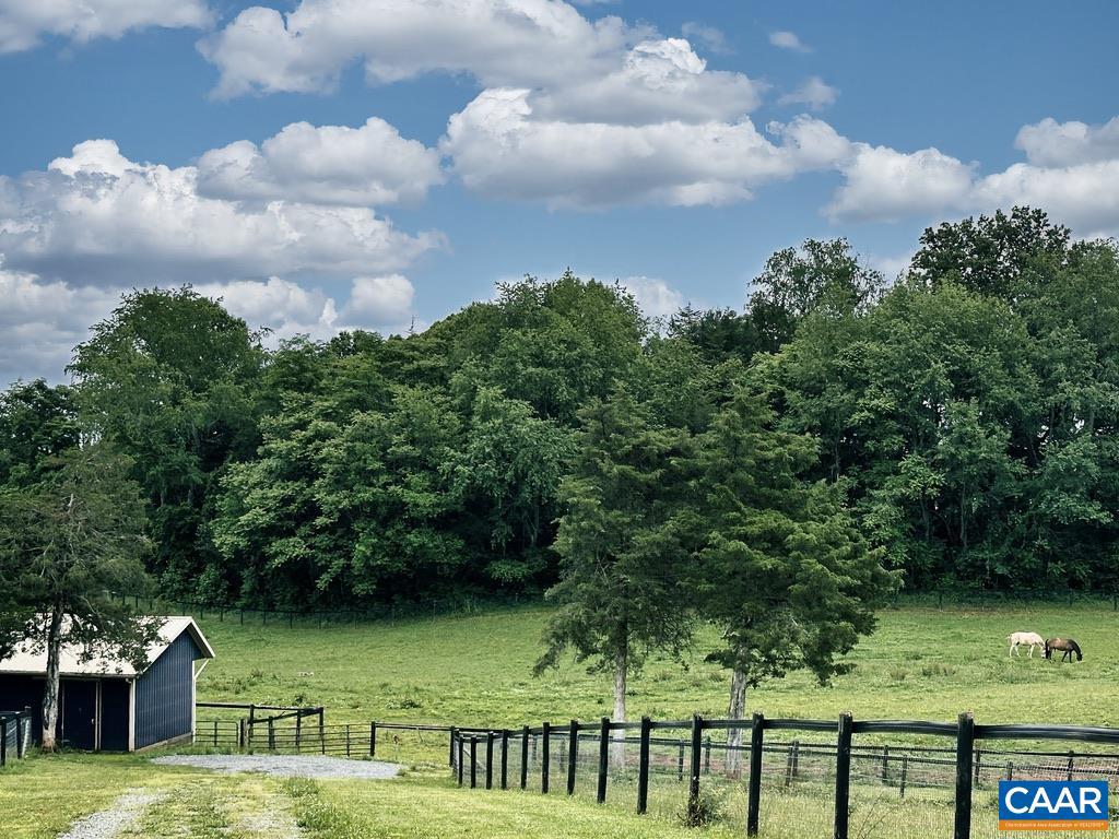 3111 S SEMINOLE TRL, MADISON, Virginia 22727, 5 Bedrooms Bedrooms, ,3 BathroomsBathrooms,Farm,For Sale,3111 S SEMINOLE TRL,665841 MLS # 665841 3111 S SEMINOLE TRL, MADISON, Virginia 22727, 5 Bedrooms Bedrooms, ,3 BathroomsBathrooms,Farm,For Sale,3111 S SEMINOLE TRL,665841 MLS # 665841