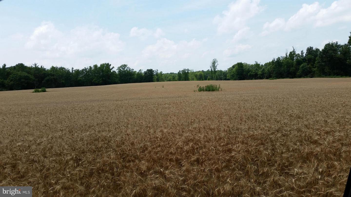 TAX IDS 35 71&amp;71C STONEY KNOLL AND KINGS M, KING GEORGE, Virginia 22485, ,Farm,For Sale,TAX IDS 35 71&amp;71C STONEY KNOLL AND KINGS M,VAKG2006628 MLS # VAKG2006628