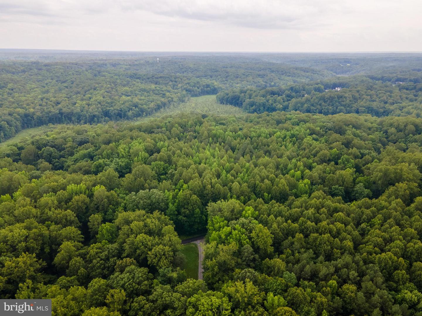 (TAX MAP 17-21) SAINT PAUL RD, KING GEORGE, Virginia 22485, ,Land,For Sale,(TAX MAP 17-21) SAINT PAUL RD,VAKG2006544 MLS # VAKG2006544 (TAX MAP 17-21) SAINT PAUL RD, KING GEORGE, Virginia 22485, ,Land,For Sale,(TAX MAP 17-21) SAINT PAUL RD,VAKG2006544 MLS # VAKG2006544