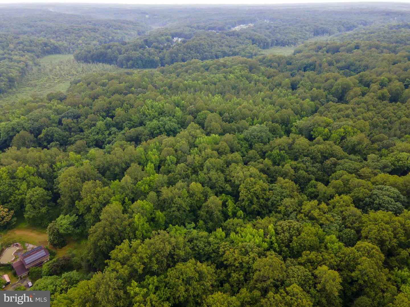 (TAX MAP 17-21) SAINT PAUL RD, KING GEORGE, Virginia 22485, ,Land,For Sale,(TAX MAP 17-21) SAINT PAUL RD,VAKG2006544 MLS # VAKG2006544 (TAX MAP 17-21) SAINT PAUL RD, KING GEORGE, Virginia 22485, ,Land,For Sale,(TAX MAP 17-21) SAINT PAUL RD,VAKG2006544 MLS # VAKG2006544