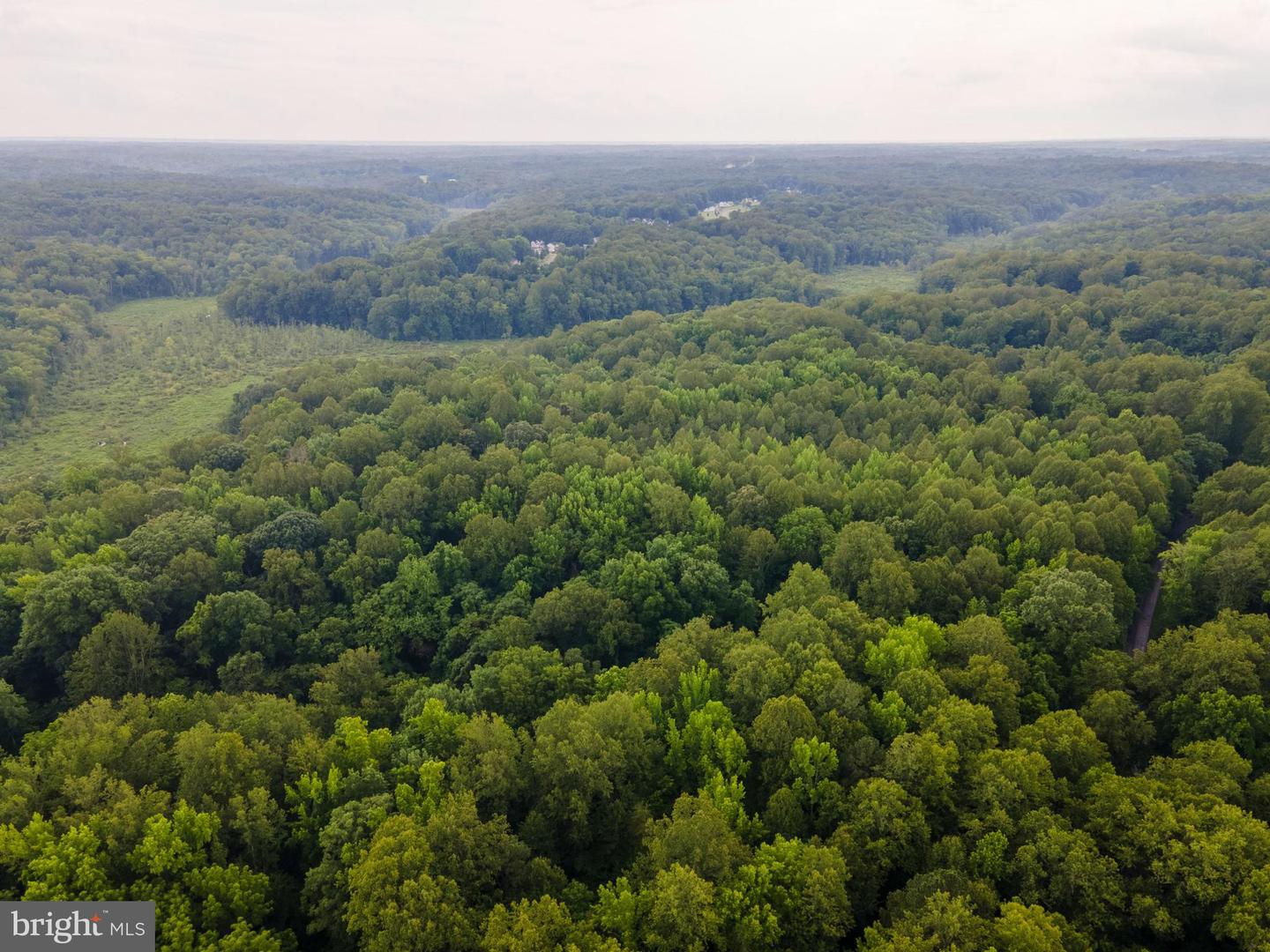 (TAX MAP 17-21) SAINT PAUL RD, KING GEORGE, Virginia 22485, ,Land,For Sale,(TAX MAP 17-21) SAINT PAUL RD,VAKG2006544 MLS # VAKG2006544 (TAX MAP 17-21) SAINT PAUL RD, KING GEORGE, Virginia 22485, ,Land,For Sale,(TAX MAP 17-21) SAINT PAUL RD,VAKG2006544 MLS # VAKG2006544