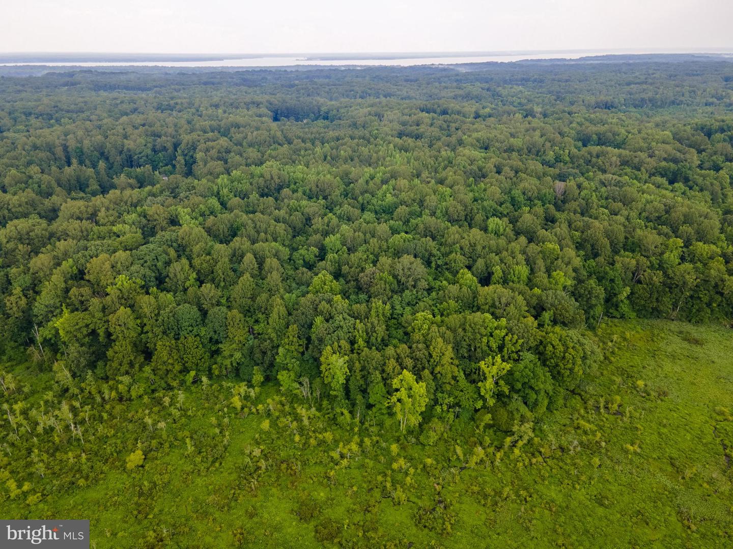 (TAX MAP 17-21) SAINT PAUL RD, KING GEORGE, Virginia 22485, ,Land,For Sale,(TAX MAP 17-21) SAINT PAUL RD,VAKG2006544 MLS # VAKG2006544 (TAX MAP 17-21) SAINT PAUL RD, KING GEORGE, Virginia 22485, ,Land,For Sale,(TAX MAP 17-21) SAINT PAUL RD,VAKG2006544 MLS # VAKG2006544