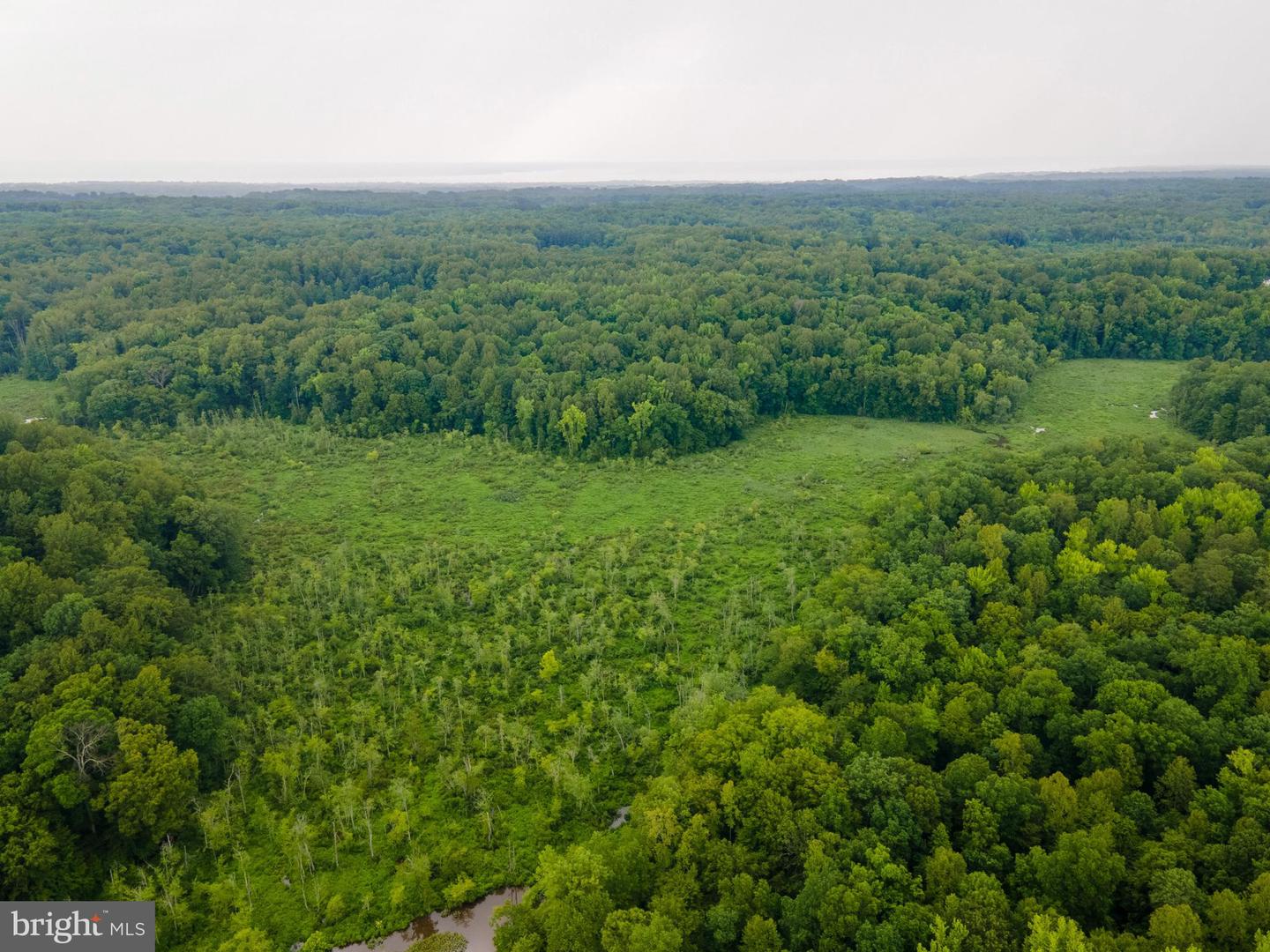 (TAX MAP 17-21) SAINT PAUL RD, KING GEORGE, Virginia 22485, ,Land,For Sale,(TAX MAP 17-21) SAINT PAUL RD,VAKG2006544 MLS # VAKG2006544 (TAX MAP 17-21) SAINT PAUL RD, KING GEORGE, Virginia 22485, ,Land,For Sale,(TAX MAP 17-21) SAINT PAUL RD,VAKG2006544 MLS # VAKG2006544