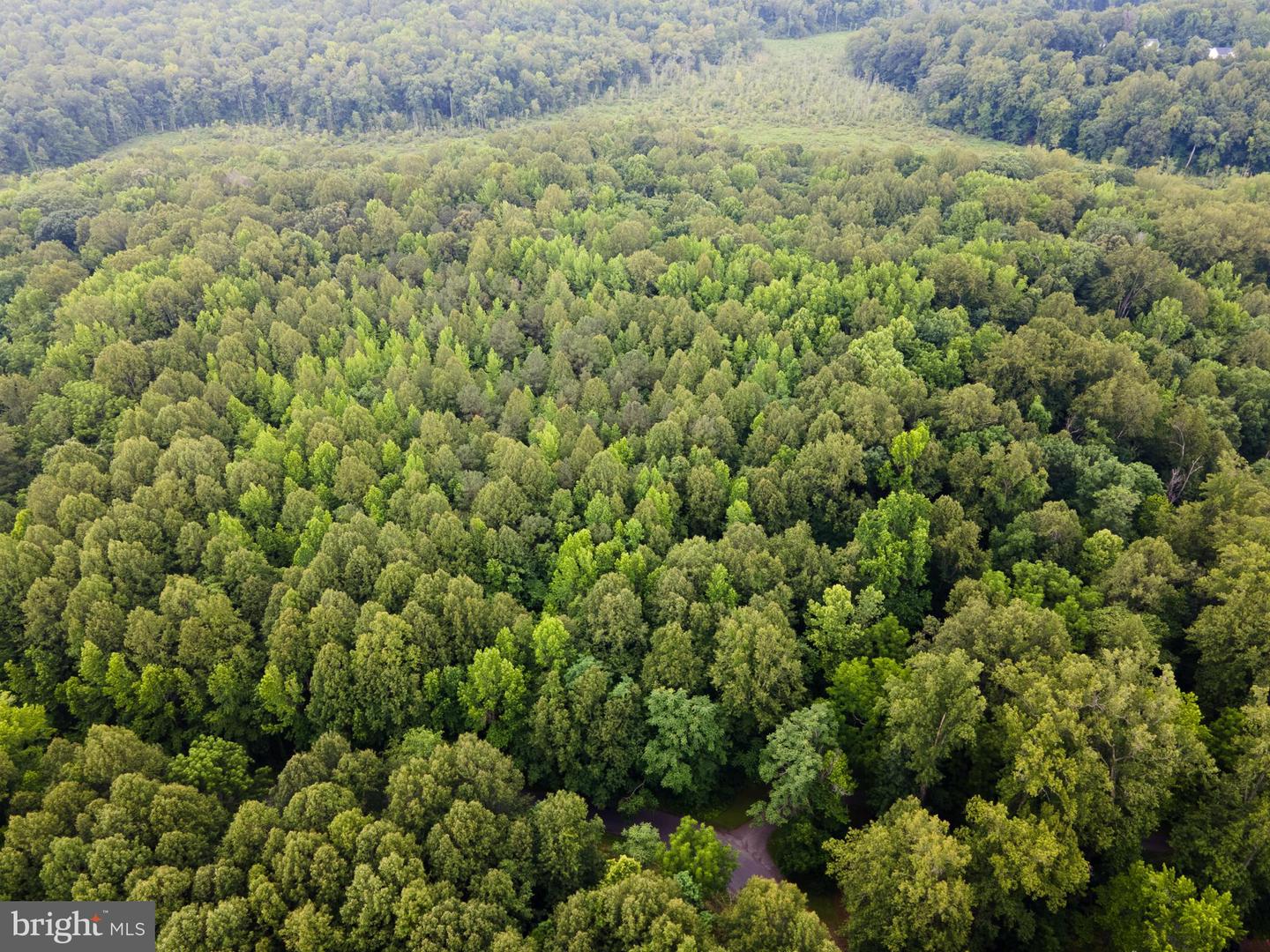 (TAX MAP 17-21) SAINT PAUL RD, KING GEORGE, Virginia 22485, ,Land,For Sale,(TAX MAP 17-21) SAINT PAUL RD,VAKG2006544 MLS # VAKG2006544 (TAX MAP 17-21) SAINT PAUL RD, KING GEORGE, Virginia 22485, ,Land,For Sale,(TAX MAP 17-21) SAINT PAUL RD,VAKG2006544 MLS # VAKG2006544