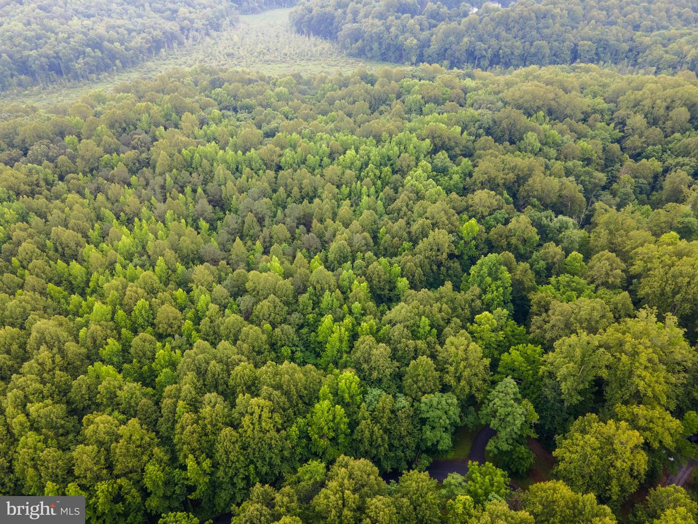 (TAX MAP 17-21) SAINT PAUL RD, KING GEORGE, Virginia 22485, ,Land,For Sale,(TAX MAP 17-21) SAINT PAUL RD,VAKG2006544 MLS # VAKG2006544 (TAX MAP 17-21) SAINT PAUL RD, KING GEORGE, Virginia 22485, ,Land,For Sale,(TAX MAP 17-21) SAINT PAUL RD,VAKG2006544 MLS # VAKG2006544