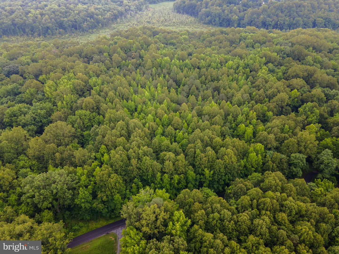 (TAX MAP 17-21) SAINT PAUL RD, KING GEORGE, Virginia 22485, ,Land,For Sale,(TAX MAP 17-21) SAINT PAUL RD,VAKG2006544 MLS # VAKG2006544 (TAX MAP 17-21) SAINT PAUL RD, KING GEORGE, Virginia 22485, ,Land,For Sale,(TAX MAP 17-21) SAINT PAUL RD,VAKG2006544 MLS # VAKG2006544