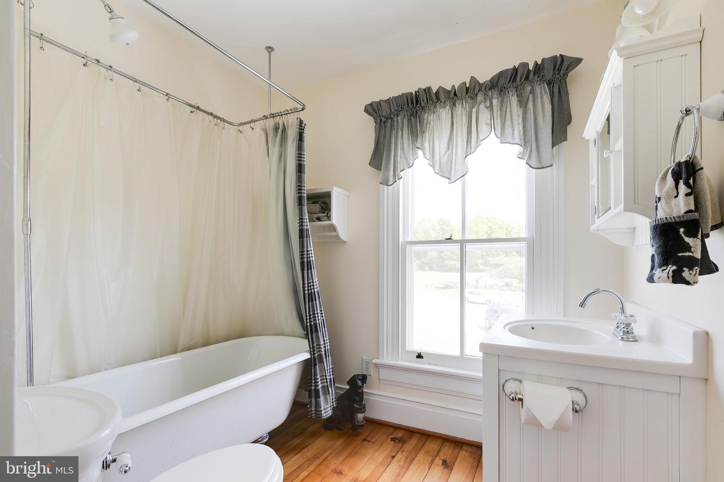 2379 PENDLETON RD, MINERAL, Virginia 23117, 4 Bedrooms Bedrooms, ,4 BathroomsBathrooms,Residential,For Sale,2379 PENDLETON RD,VALA2008090 MLS # VALA2008090