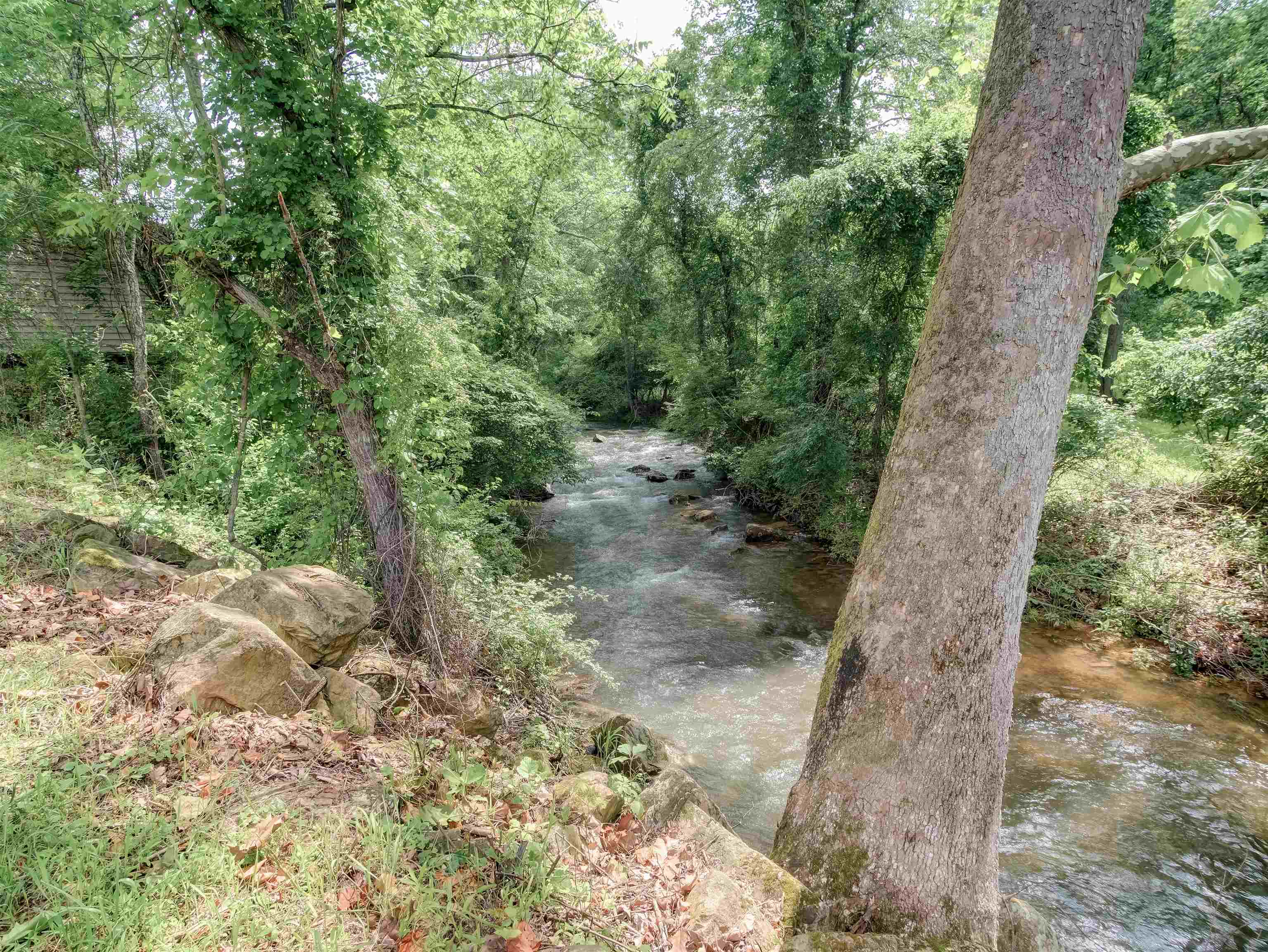 7304 DRY RUN RD, BURNSVILLE, Virginia 24487, 3 Bedrooms Bedrooms, ,2 BathroomsBathrooms,Residential,14,7304 DRY RUN RD,666061 MLS # 666061