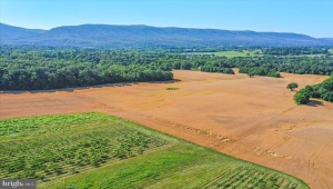S OX RD EDINBURG, EDINBURG, Virginia 22824, ,Farm,For Sale,S OX RD EDINBURG,VASH2011792 MLS # VASH2011792