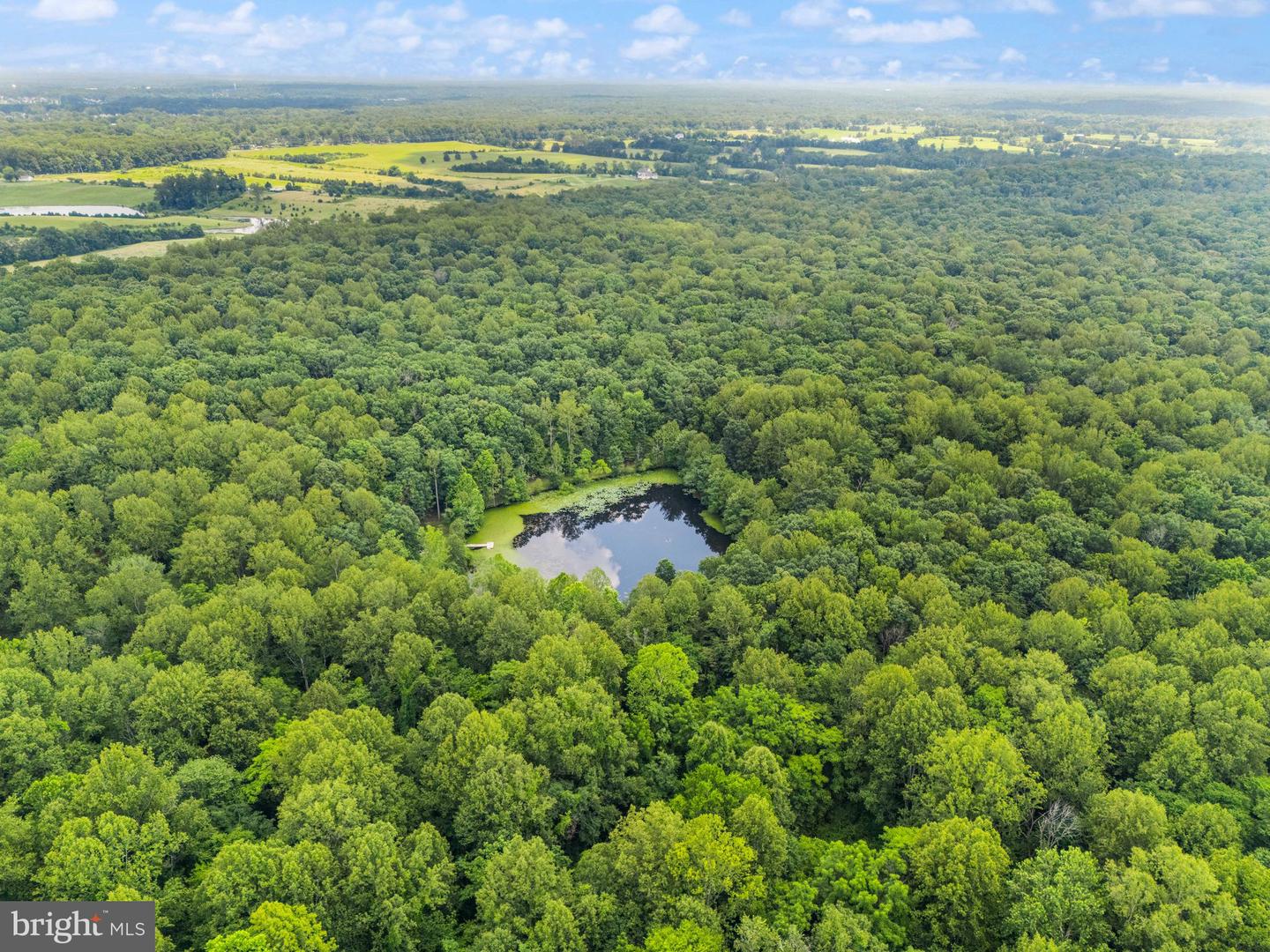 7511 &amp; 7519 ELMORES LN, WARRENTON, Virginia 20187, 9 Bedrooms Bedrooms, ,7 BathroomsBathrooms,Residential,For Sale,7511 &amp; 7519 ELMORES LN,VAFQ2017044 MLS # VAFQ2017044