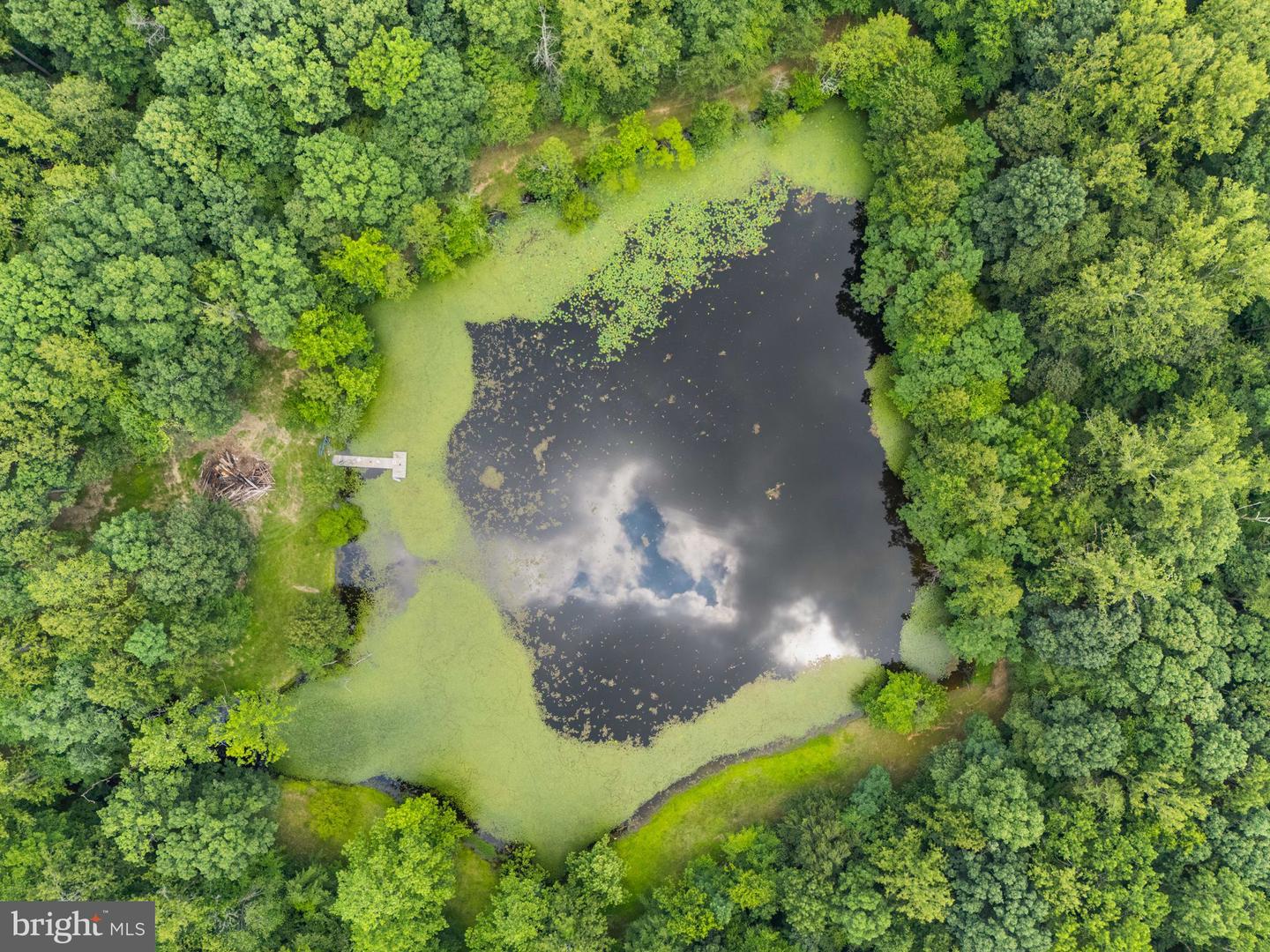 7511 &amp; 7519 ELMORES LN, WARRENTON, Virginia 20187, 9 Bedrooms Bedrooms, ,7 BathroomsBathrooms,Residential,For Sale,7511 &amp; 7519 ELMORES LN,VAFQ2017044 MLS # VAFQ2017044