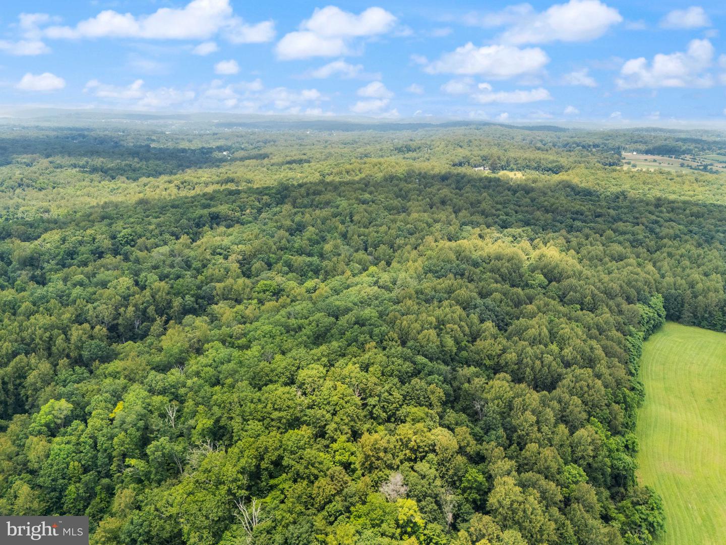 7511 &amp; 7519 ELMORES LN, WARRENTON, Virginia 20187, 9 Bedrooms Bedrooms, ,7 BathroomsBathrooms,Residential,For Sale,7511 &amp; 7519 ELMORES LN,VAFQ2017044 MLS # VAFQ2017044