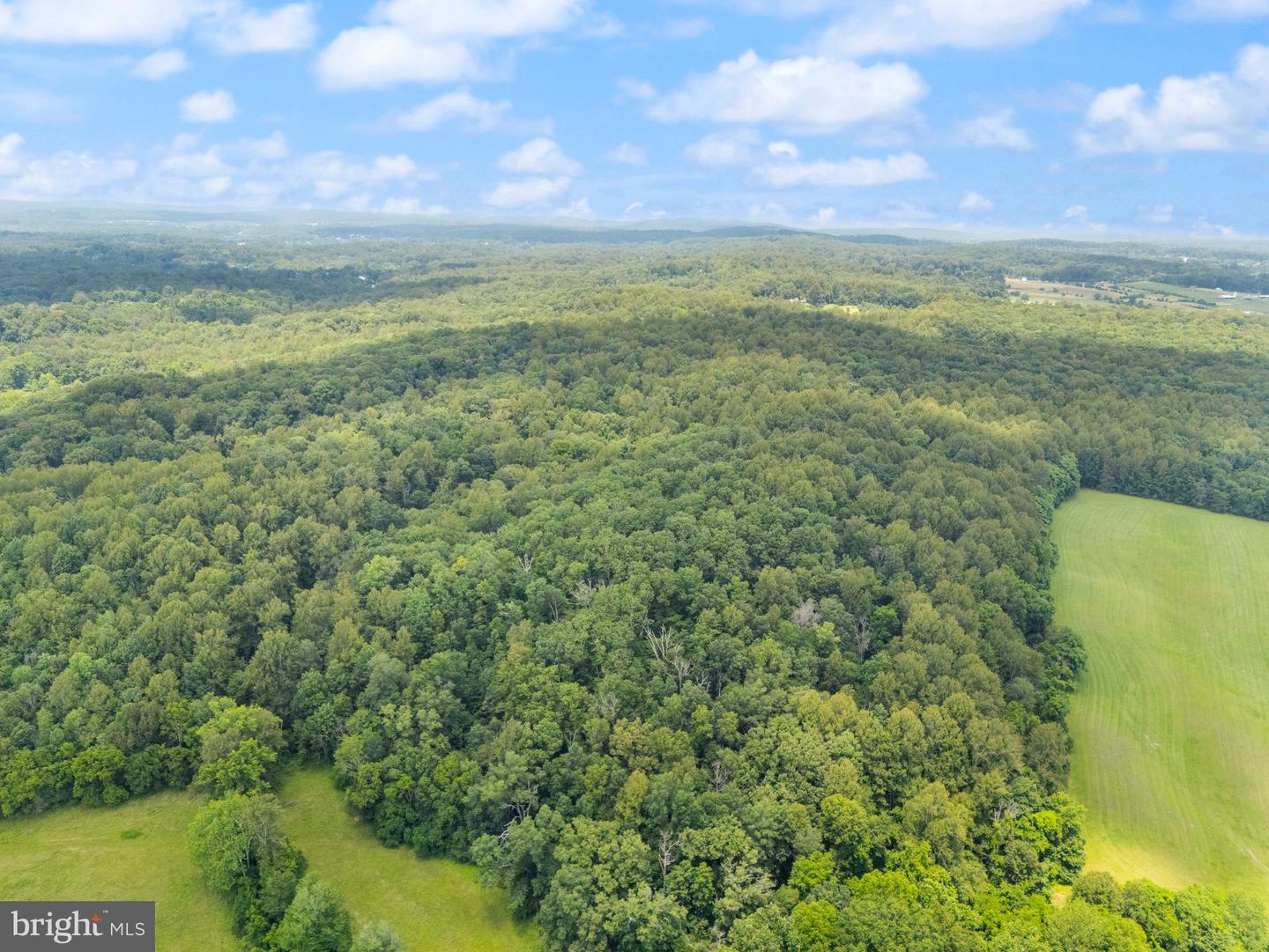 7511 &amp; 7519 ELMORES LN, WARRENTON, Virginia 20187, 9 Bedrooms Bedrooms, ,7 BathroomsBathrooms,Residential,For Sale,7511 &amp; 7519 ELMORES LN,VAFQ2017044 MLS # VAFQ2017044