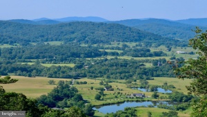 REDIVIVA LN WASHINGTON Virginia 22747