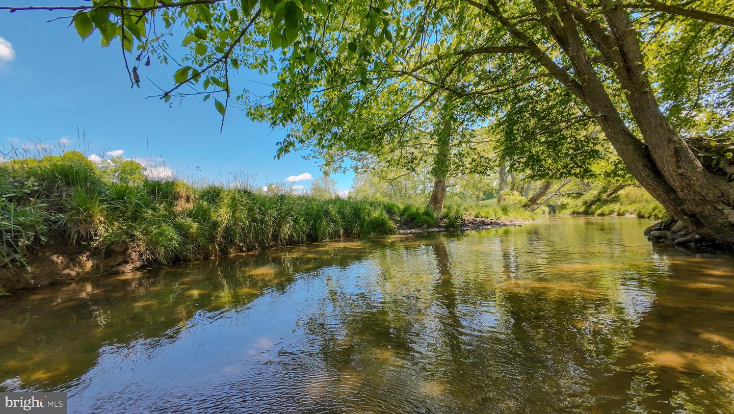 1801 TOMS CREEK RD, BLACKSBURG, Virginia 24060, ,Farm,For Sale,1801 TOMS CREEK RD,VAMV2000046 MLS # VAMV2000046 1801 TOMS CREEK RD, BLACKSBURG, Virginia 24060, ,Farm,For Sale,1801 TOMS CREEK RD,VAMV2000046 MLS # VAMV2000046