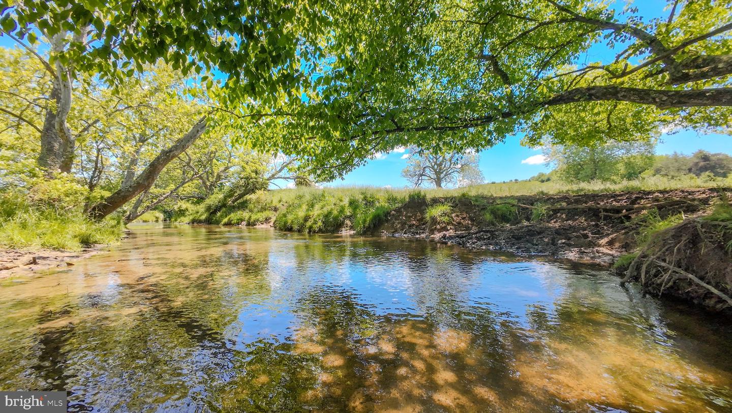 1801 TOMS CREEK RD, BLACKSBURG, Virginia 24060, ,Farm,For Sale,1801 TOMS CREEK RD,VAMV2000046 MLS # VAMV2000046 1801 TOMS CREEK RD, BLACKSBURG, Virginia 24060, ,Farm,For Sale,1801 TOMS CREEK RD,VAMV2000046 MLS # VAMV2000046