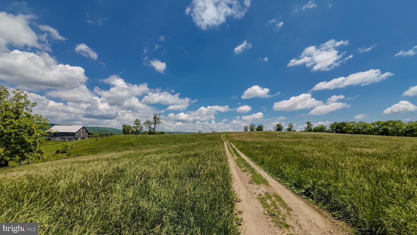 1801 TOMS CREEK RD, BLACKSBURG, Virginia 24060, ,Farm,For Sale,1801 TOMS CREEK RD,VAMV2000046 MLS # VAMV2000046 1801 TOMS CREEK RD, BLACKSBURG, Virginia 24060, ,Farm,For Sale,1801 TOMS CREEK RD,VAMV2000046 MLS # VAMV2000046