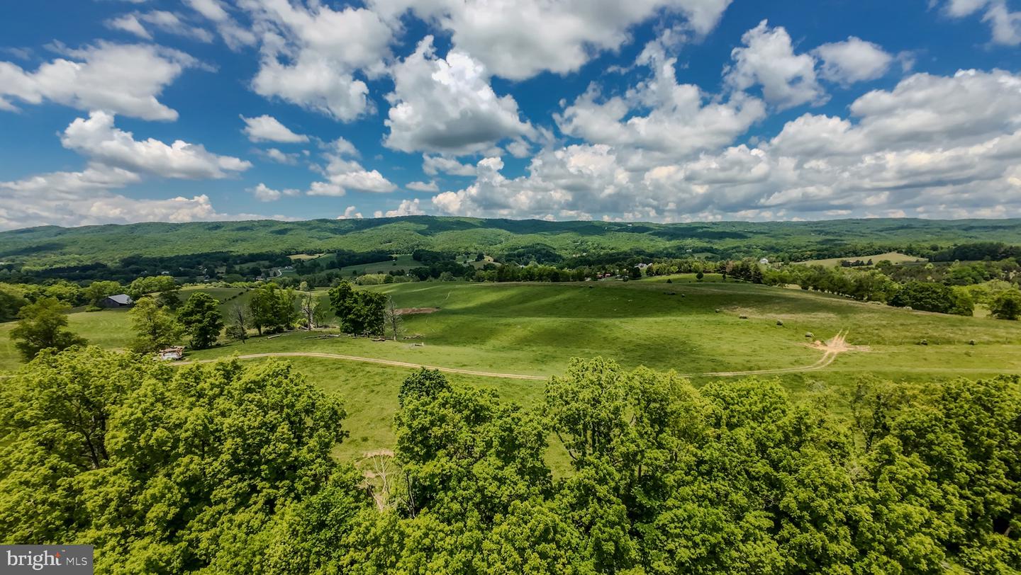1801 TOMS CREEK RD, BLACKSBURG, Virginia 24060, ,Farm,For Sale,1801 TOMS CREEK RD,VAMV2000046 MLS # VAMV2000046 1801 TOMS CREEK RD, BLACKSBURG, Virginia 24060, ,Farm,For Sale,1801 TOMS CREEK RD,VAMV2000046 MLS # VAMV2000046