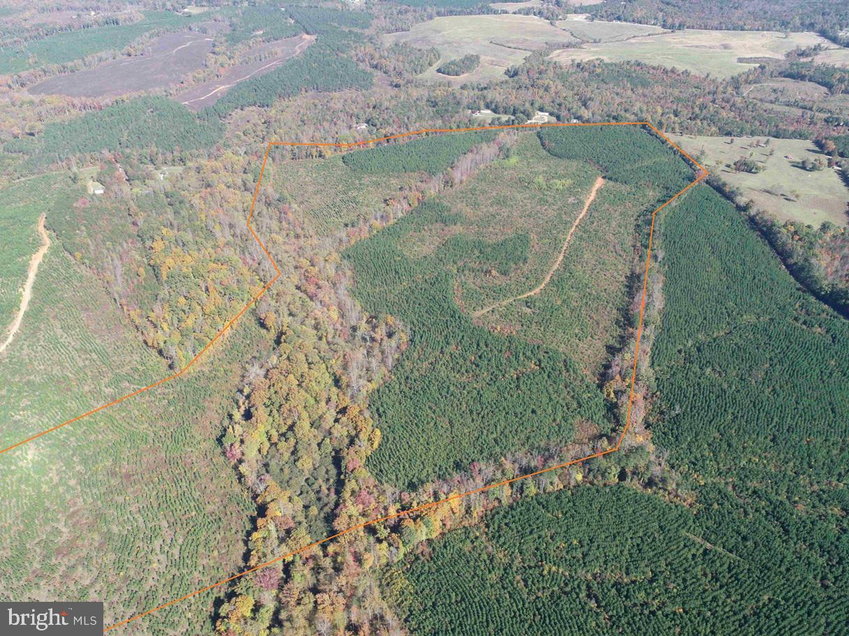 WOODFORK ROAD (RT. 650) (TRACT ROGERS-2), CHARLOTTE COURT HOUSE, Virginia 23923, ,Farm,For Sale,WOODFORK ROAD (RT. 650) (TRACT ROGERS-2),VACE2000024 MLS # VACE2000024 WOODFORK ROAD (RT. 650) (TRACT ROGERS-2), CHARLOTTE COURT HOUSE, Virginia 23923, ,Farm,For Sale,WOODFORK ROAD (RT. 650) (TRACT ROGERS-2),VACE2000024 MLS # VACE2000024