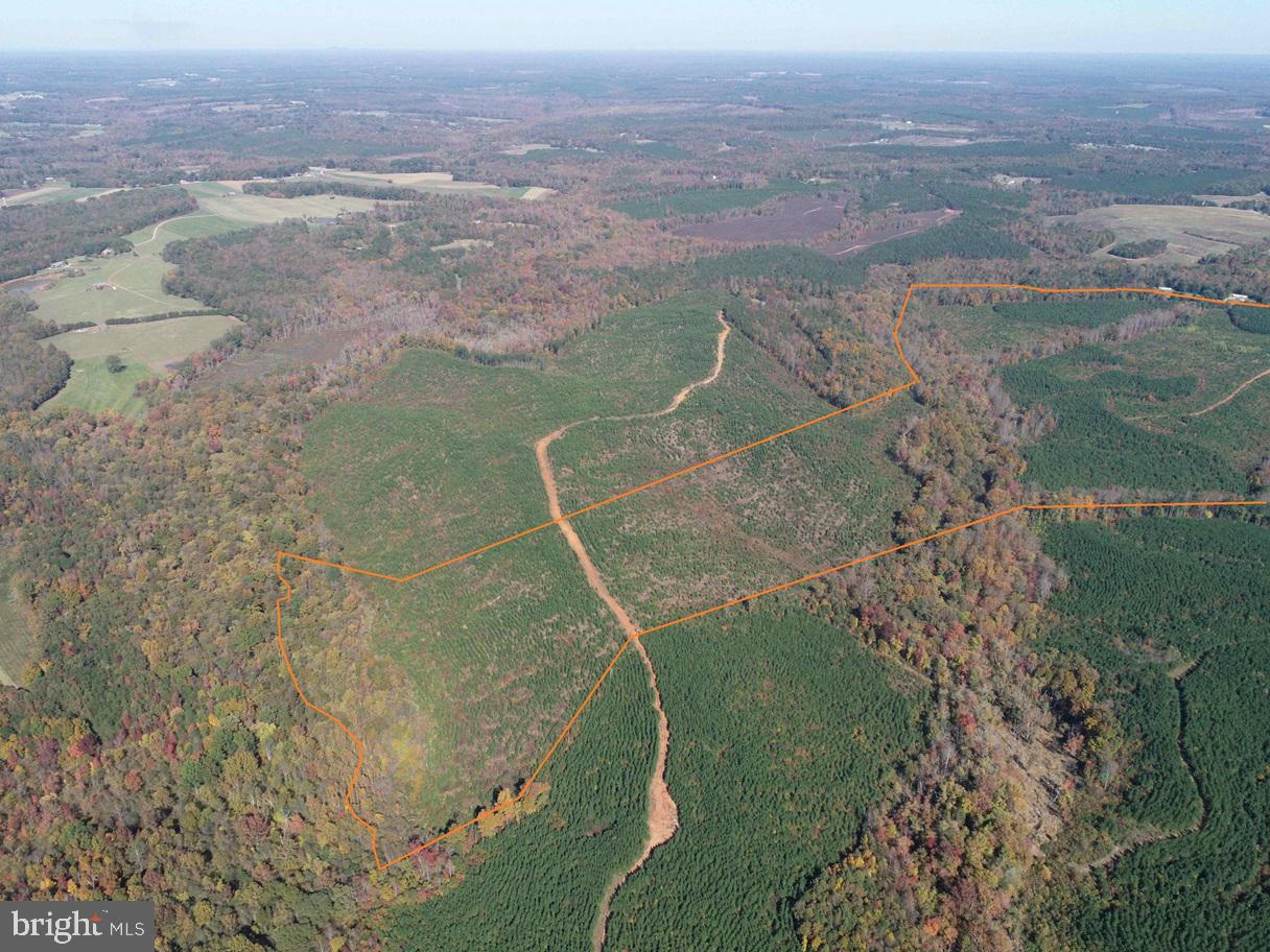 WOODFORK ROAD (RT. 650) (TRACT ROGERS-2), CHARLOTTE COURT HOUSE, Virginia 23923, ,Farm,For Sale,WOODFORK ROAD (RT. 650) (TRACT ROGERS-2),VACE2000024 MLS # VACE2000024 WOODFORK ROAD (RT. 650) (TRACT ROGERS-2), CHARLOTTE COURT HOUSE, Virginia 23923, ,Farm,For Sale,WOODFORK ROAD (RT. 650) (TRACT ROGERS-2),VACE2000024 MLS # VACE2000024