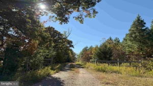 WOODFORK ROAD (RT. 650) (TRACT ROGERS-2), CHARLOTTE COURT HOUSE, Virginia 23923, ,Farm,For Sale,WOODFORK ROAD (RT. 650) (TRACT ROGERS-2),VACE2000024 MLS # VACE2000024