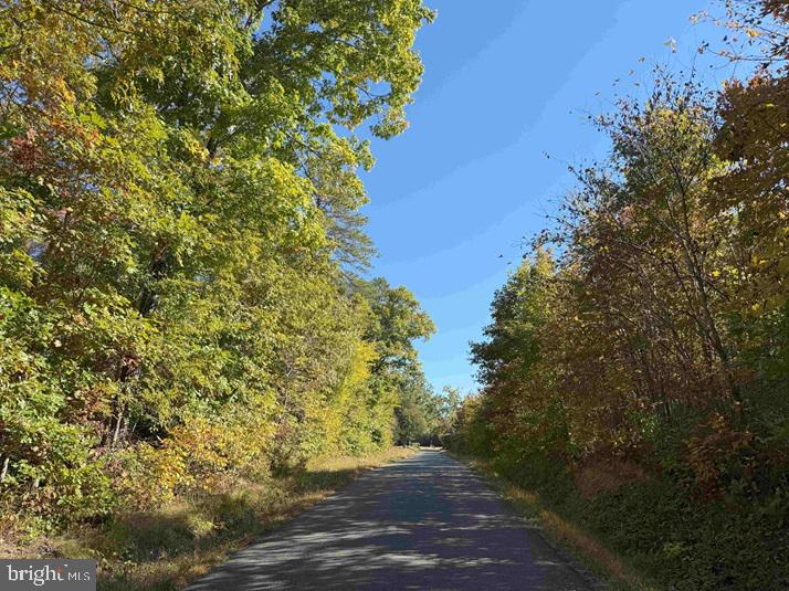 WOODFORK ROAD (RT. 650) (TRACT ROGERS-4), CHARLOTTE COURT HOUSE, Virginia 23923, ,Farm,For Sale,WOODFORK ROAD (RT. 650) (TRACT ROGERS-4),VACE2000026 MLS # VACE2000026