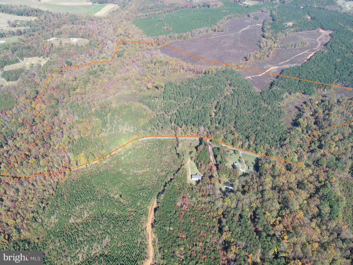 WOODFORK ROAD (RT. 650) (TRACT ROGERS-4), CHARLOTTE COURT HOUSE, Virginia 23923, ,Farm,For Sale,WOODFORK ROAD (RT. 650) (TRACT ROGERS-4),VACE2000026 MLS # VACE2000026