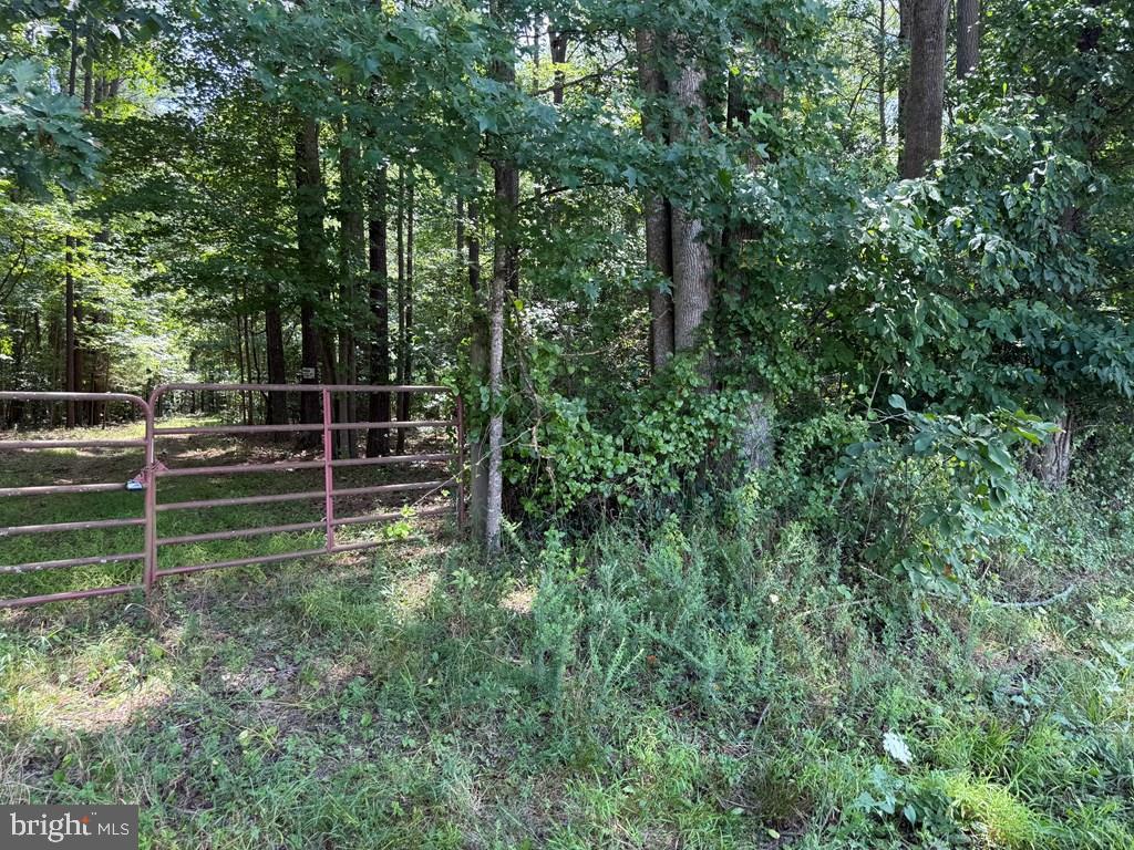 LOTS 37, 38, 39 FIELD TRAIL RD, LANCASTER, Virginia 22503, ,Farm,For Sale,LOTS 37, 38, 39 FIELD TRAIL RD,VALV2000844 MLS # VALV2000844