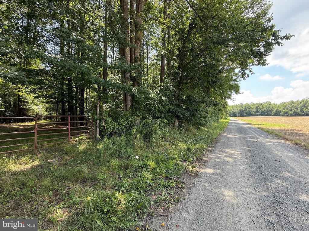 LOTS 37, 38, 39 FIELD TRAIL RD, LANCASTER, Virginia 22503, ,Farm,For Sale,LOTS 37, 38, 39 FIELD TRAIL RD,VALV2000844 MLS # VALV2000844