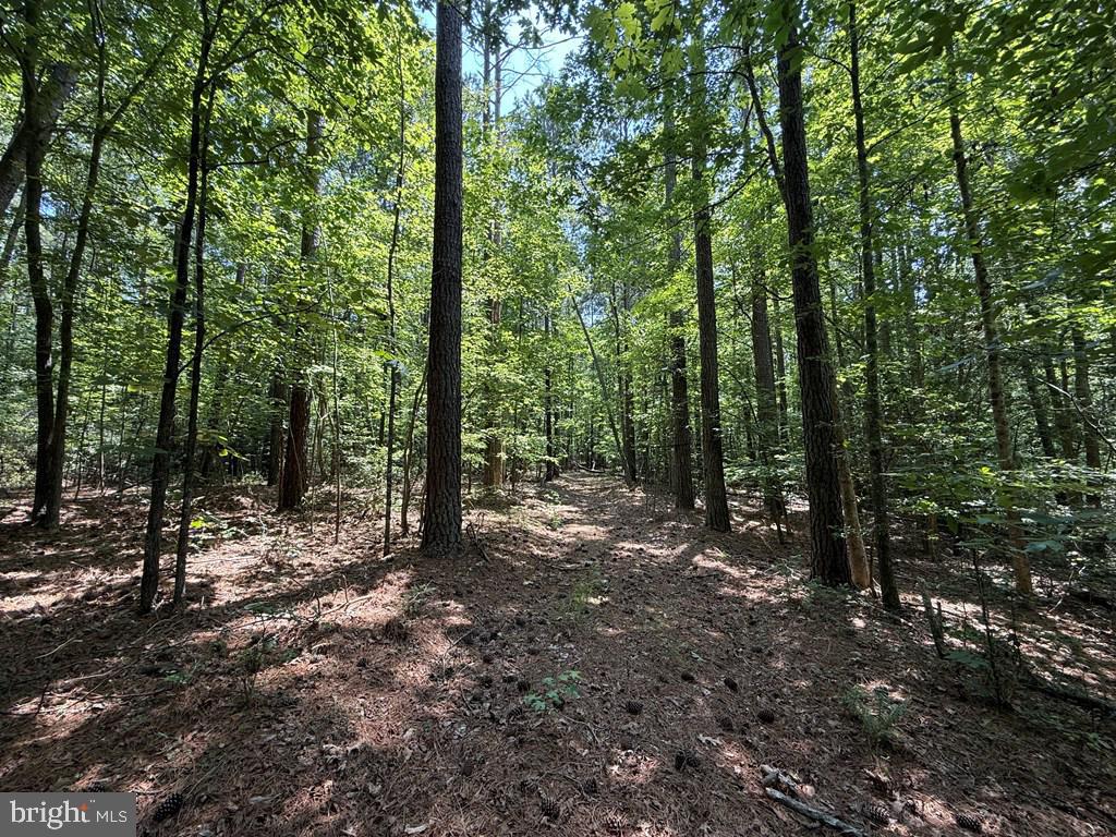 LOTS 37, 38, 39 FIELD TRAIL RD, LANCASTER, Virginia 22503, ,Farm,For Sale,LOTS 37, 38, 39 FIELD TRAIL RD,VALV2000844 MLS # VALV2000844