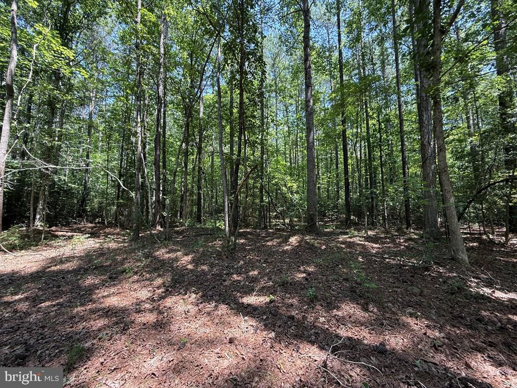 LOTS 37, 38, 39 FIELD TRAIL RD, LANCASTER, Virginia 22503, ,Farm,For Sale,LOTS 37, 38, 39 FIELD TRAIL RD,VALV2000844 MLS # VALV2000844