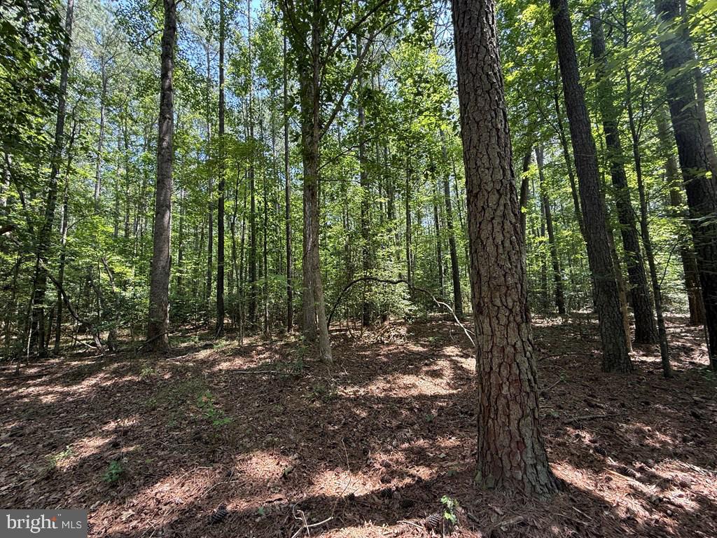 LOTS 37, 38, 39 FIELD TRAIL RD, LANCASTER, Virginia 22503, ,Farm,For Sale,LOTS 37, 38, 39 FIELD TRAIL RD,VALV2000844 MLS # VALV2000844