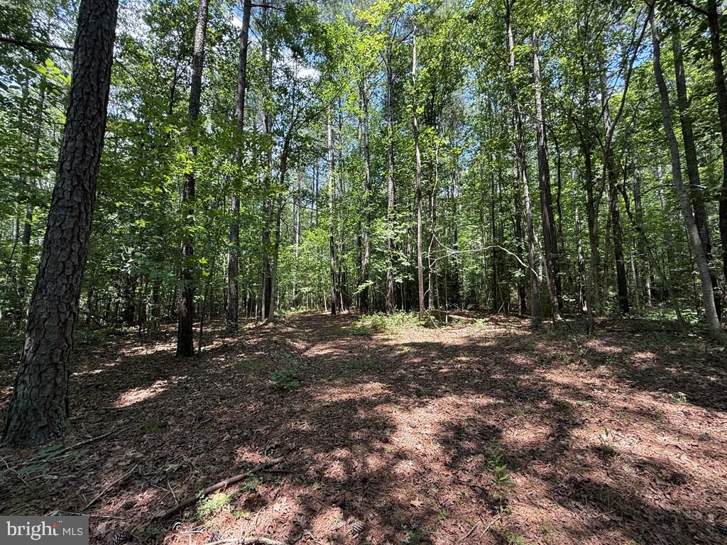 LOTS 37, 38, 39 FIELD TRAIL RD, LANCASTER, Virginia 22503, ,Farm,For Sale,LOTS 37, 38, 39 FIELD TRAIL RD,VALV2000844 MLS # VALV2000844