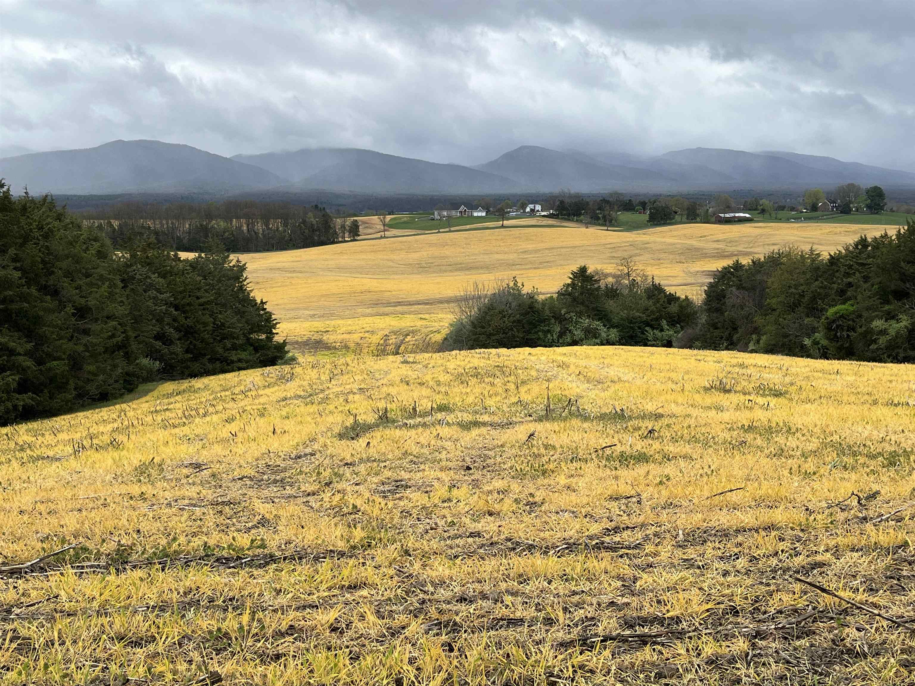 TBD DOE HILL RD, PORT REPUBLIC, Virginia 24471, ,Land,14,TBD DOE HILL RD,655620 MLS # 655620