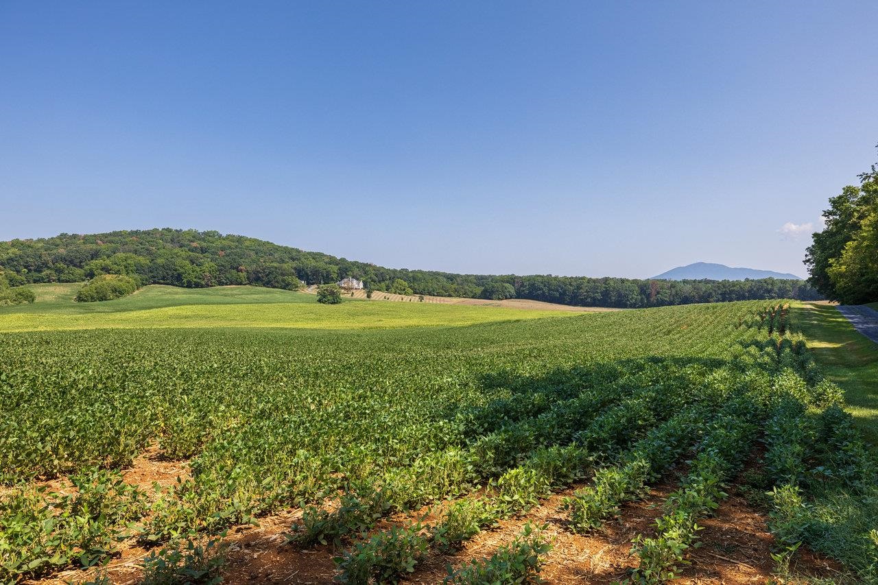 TBD DOE HILL RD, PORT REPUBLIC, Virginia 24471, ,Land,14,TBD DOE HILL RD,655620 MLS # 655620