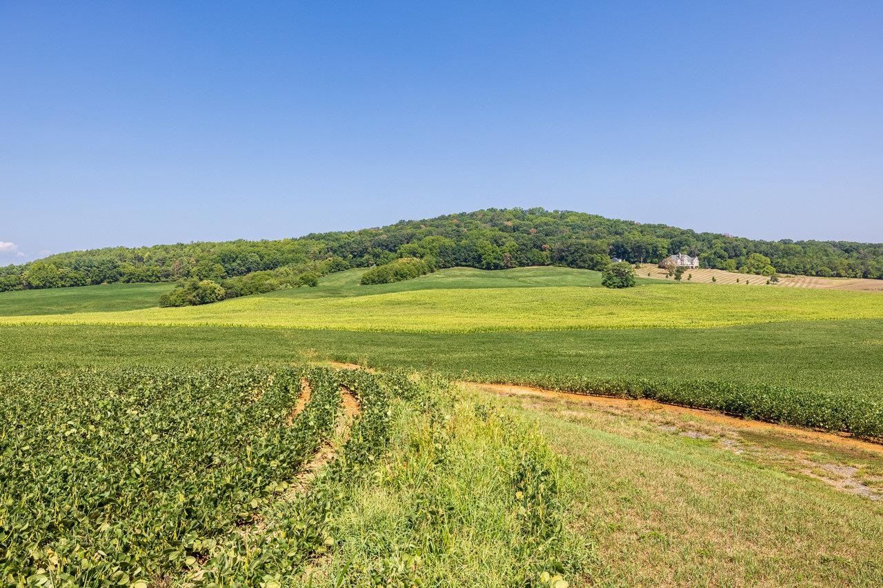 TBD DOE HILL RD, PORT REPUBLIC, Virginia 24471, ,Land,14,TBD DOE HILL RD,655620 MLS # 655620