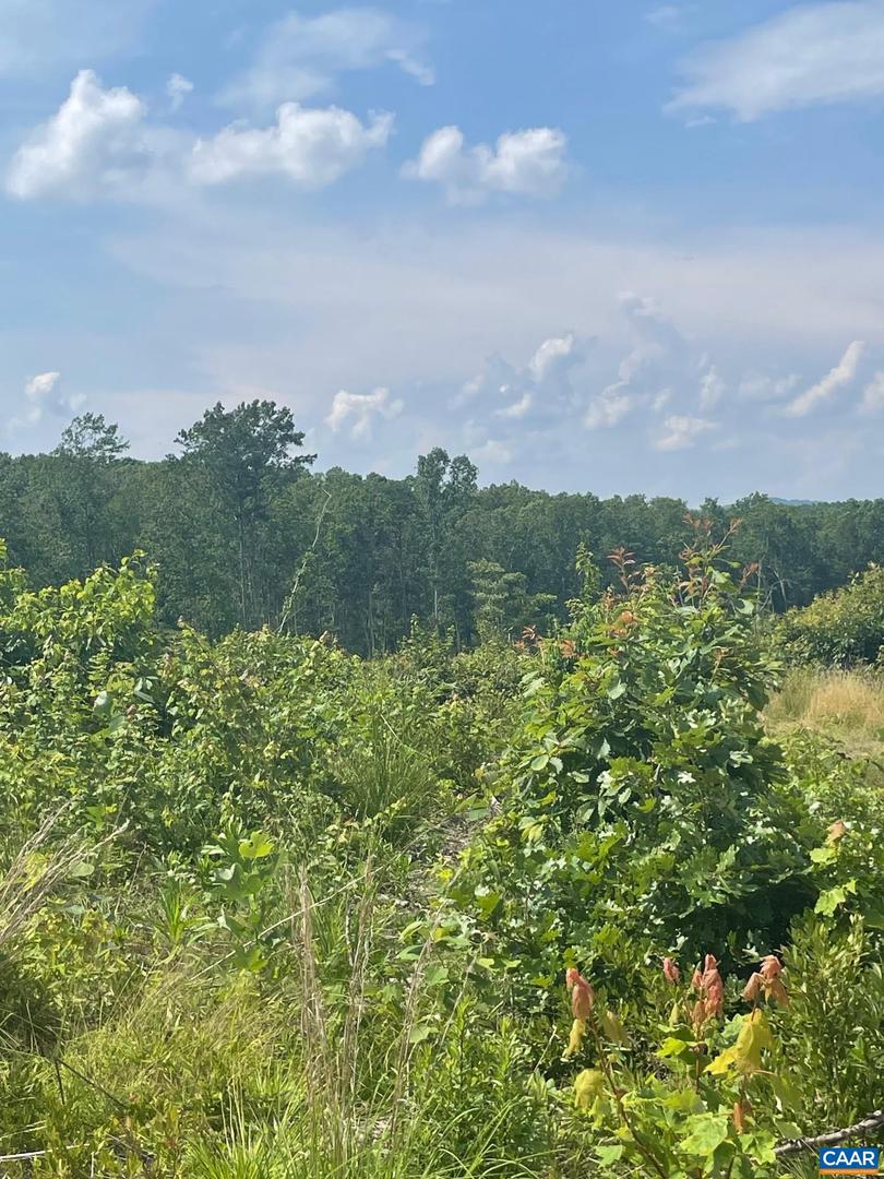 PASSANTE SR LN #10 68, GORDONSVILLE, Virginia 22942, ,Farm,For Sale,PASSANTE SR LN #10 68,666509 MLS # 666509