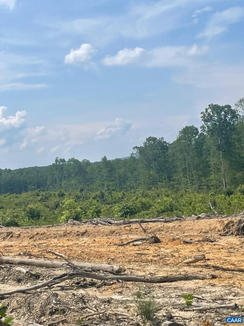 PASSANTE SR LN #10 68, GORDONSVILLE, Virginia 22942, ,Farm,For Sale,PASSANTE SR LN #10 68,666509 MLS # 666509