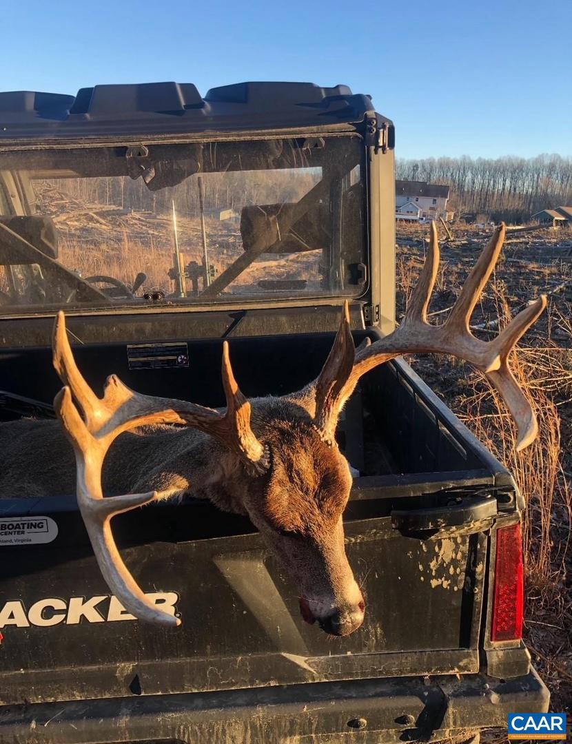 PASSANTE SR LN #10 68, GORDONSVILLE, Virginia 22942, ,Farm,For Sale,PASSANTE SR LN #10 68,666509 MLS # 666509