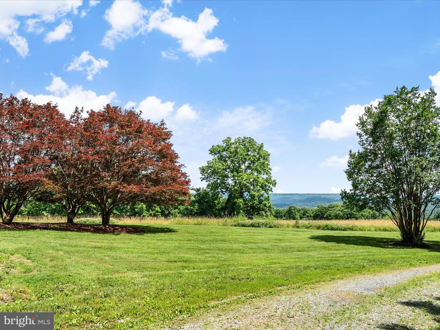 1741 PARSHALL ROAD, BERRYVILLE, Virginia 22611, 4 Bedrooms Bedrooms, ,3 BathroomsBathrooms,Residential,For Sale,1741 PARSHALL ROAD,VACL2003864 MLS # VACL2003864