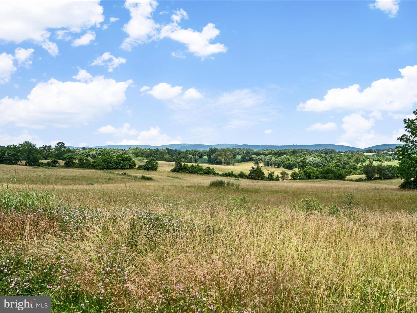 1741 PARSHALL ROAD, BERRYVILLE, Virginia 22611, 4 Bedrooms Bedrooms, ,3 BathroomsBathrooms,Residential,For Sale,1741 PARSHALL ROAD,VACL2003864 MLS # VACL2003864