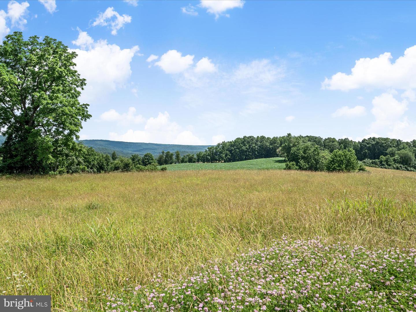 1741 PARSHALL ROAD, BERRYVILLE, Virginia 22611, 4 Bedrooms Bedrooms, ,3 BathroomsBathrooms,Residential,For Sale,1741 PARSHALL ROAD,VACL2003864 MLS # VACL2003864