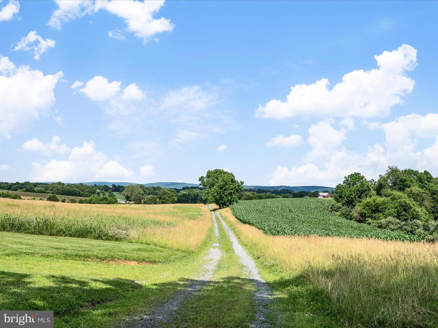 1741 PARSHALL ROAD, BERRYVILLE, Virginia 22611, 4 Bedrooms Bedrooms, ,3 BathroomsBathrooms,Residential,For Sale,1741 PARSHALL ROAD,VACL2003864 MLS # VACL2003864