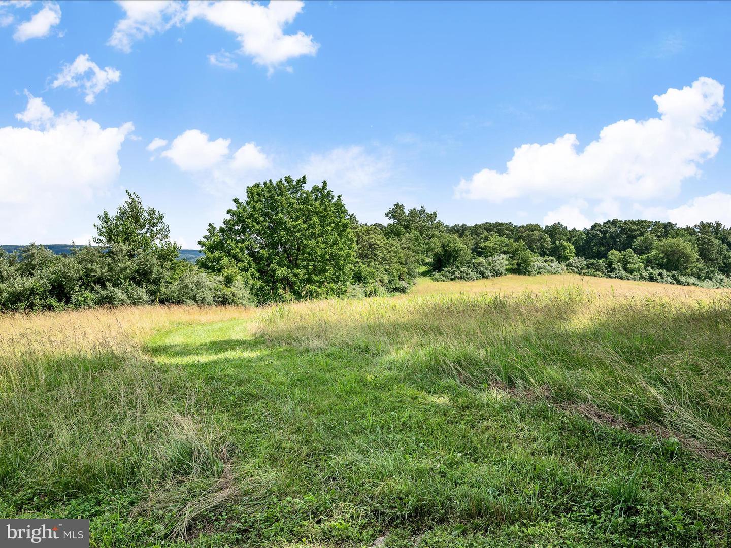 1741 PARSHALL ROAD, BERRYVILLE, Virginia 22611, 4 Bedrooms Bedrooms, ,3 BathroomsBathrooms,Residential,For Sale,1741 PARSHALL ROAD,VACL2003864 MLS # VACL2003864