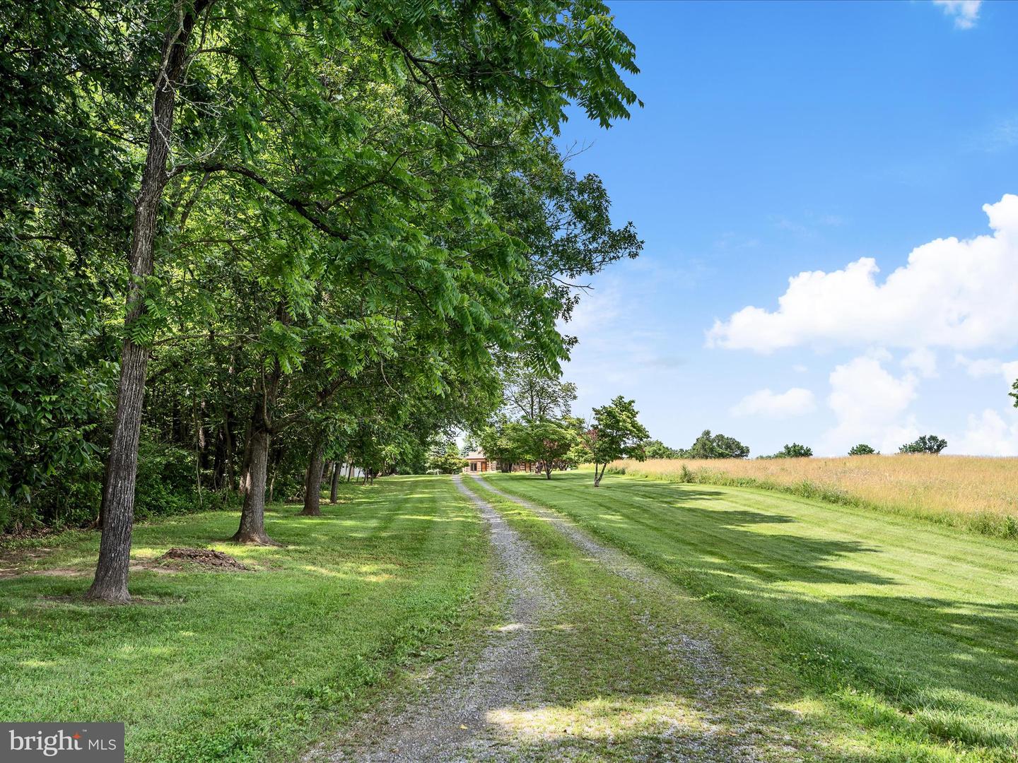 1741 PARSHALL ROAD, BERRYVILLE, Virginia 22611, 4 Bedrooms Bedrooms, ,3 BathroomsBathrooms,Residential,For Sale,1741 PARSHALL ROAD,VACL2003864 MLS # VACL2003864