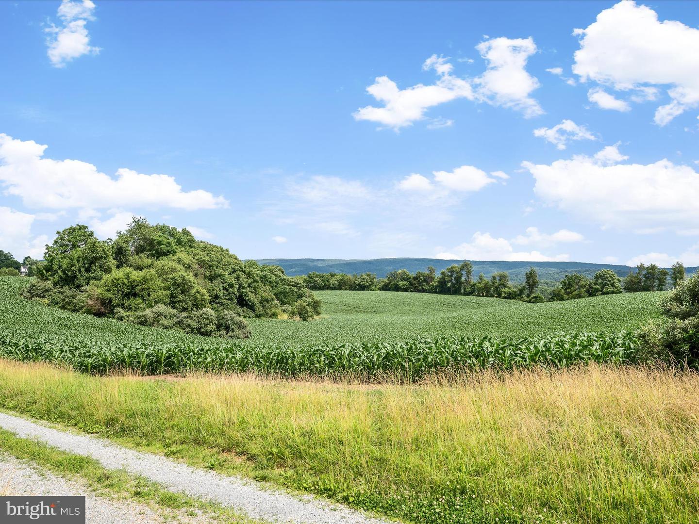 1741 PARSHALL ROAD, BERRYVILLE, Virginia 22611, 4 Bedrooms Bedrooms, ,3 BathroomsBathrooms,Residential,For Sale,1741 PARSHALL ROAD,VACL2003864 MLS # VACL2003864