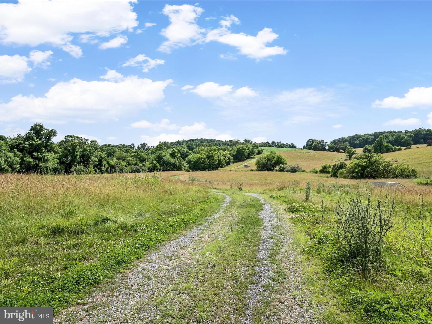 1741 PARSHALL ROAD, BERRYVILLE, Virginia 22611, 4 Bedrooms Bedrooms, ,3 BathroomsBathrooms,Residential,For Sale,1741 PARSHALL ROAD,VACL2003864 MLS # VACL2003864