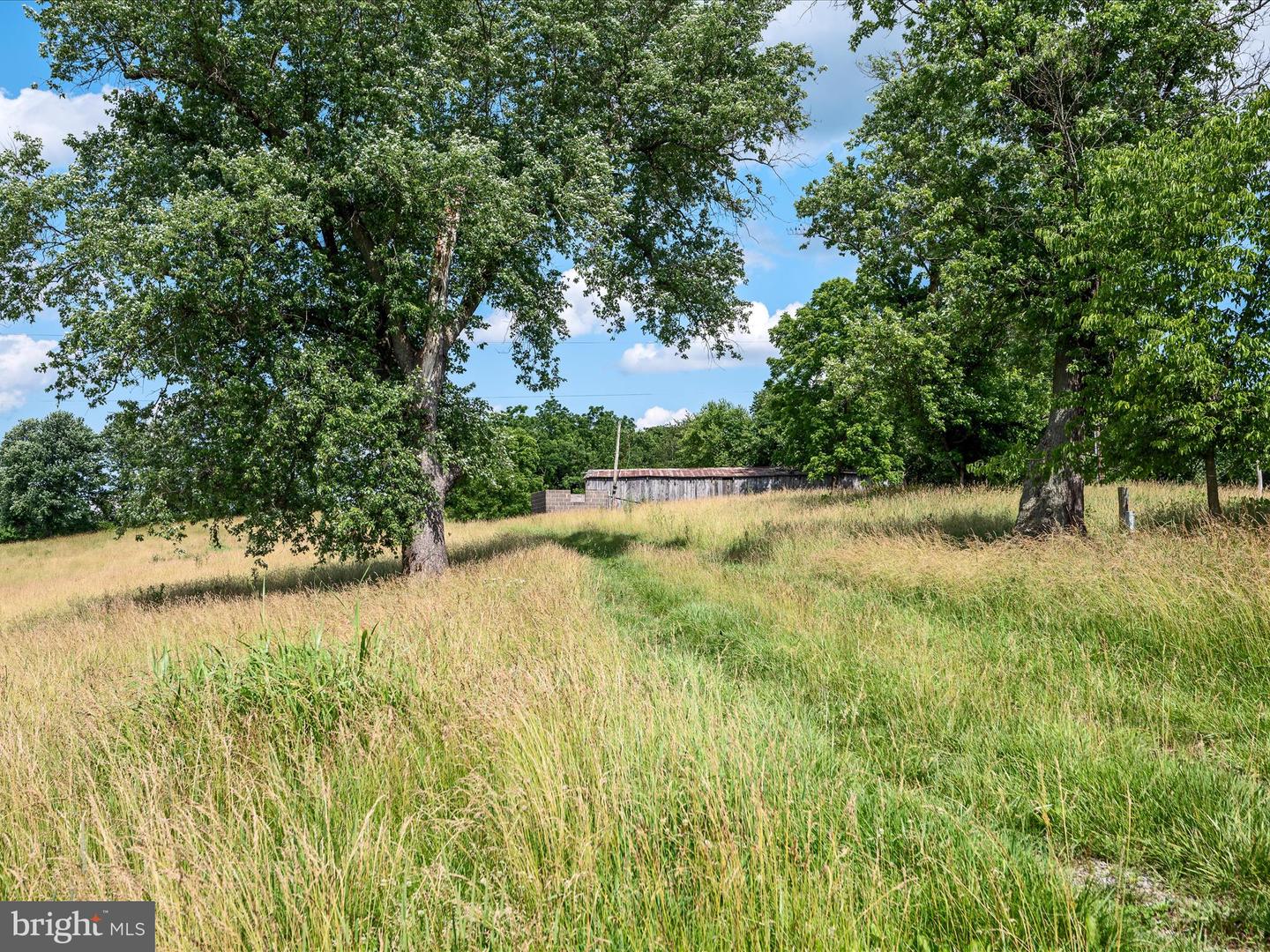 1741 PARSHALL ROAD, BERRYVILLE, Virginia 22611, 4 Bedrooms Bedrooms, ,3 BathroomsBathrooms,Residential,For Sale,1741 PARSHALL ROAD,VACL2003864 MLS # VACL2003864